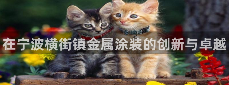 美高梅飞鱼表演还有吗