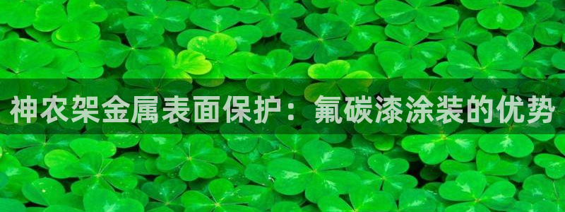 美高梅是哪里的公司