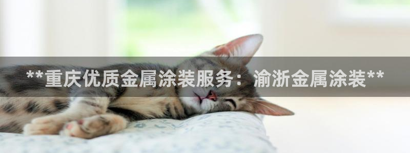 美高梅会员卡级别分类是什么