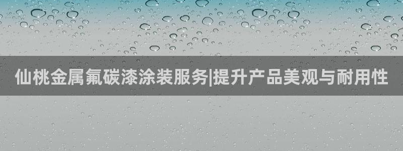 美国美高梅酒店集团