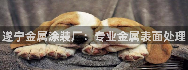 美高梅品牌介绍