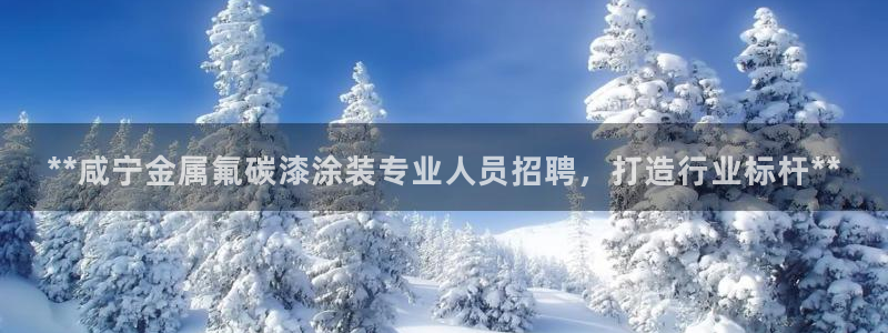 美高梅手机游戏怎么玩