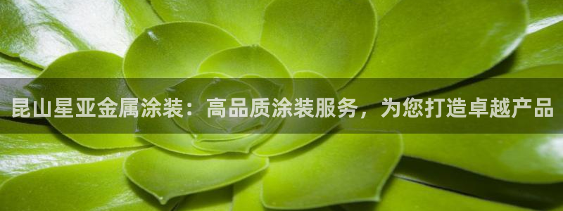 美高梅官网版是正品吗