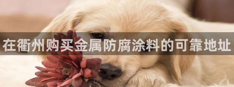 美高梅酒店北京