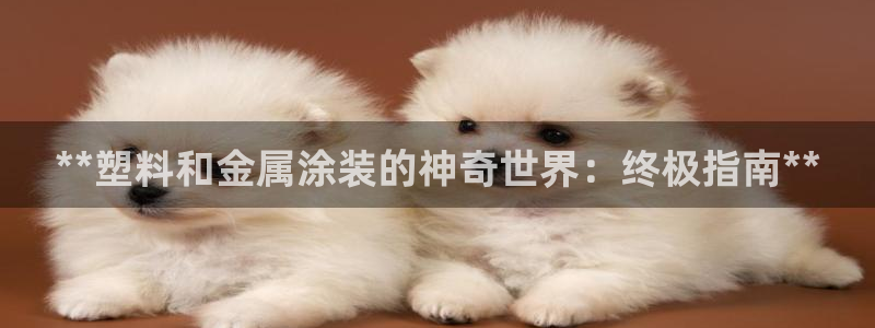 美高梅美狮酒店介绍