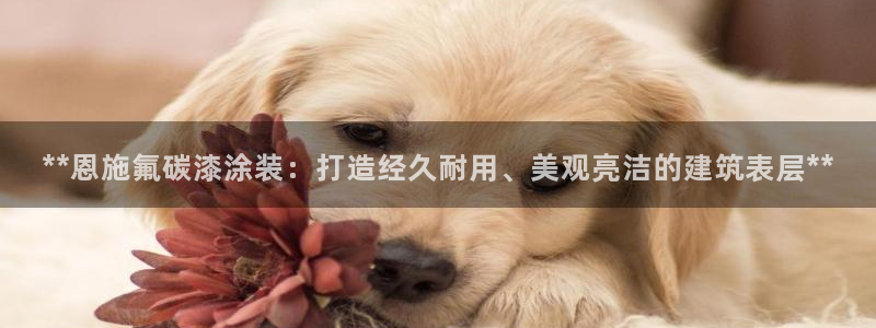 美高梅游戏推荐