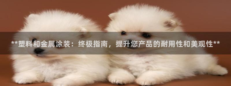 美高梅控股有限公司招聘