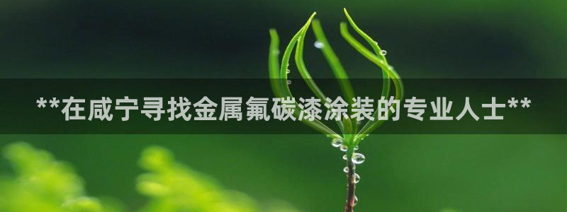 美高梅是做什么的澳门何超琼