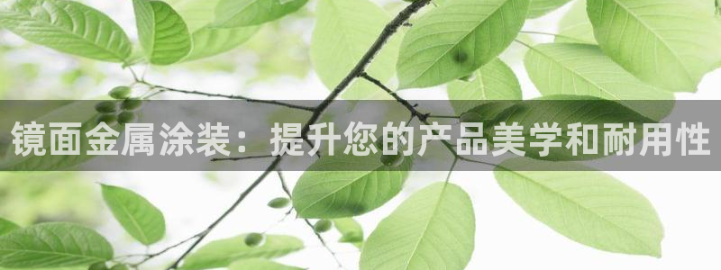 美高梅会员卡等级怎么分