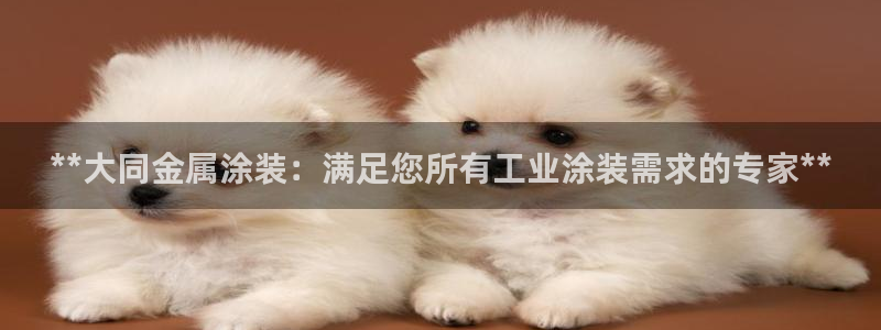美狮美高梅酒店是几星级