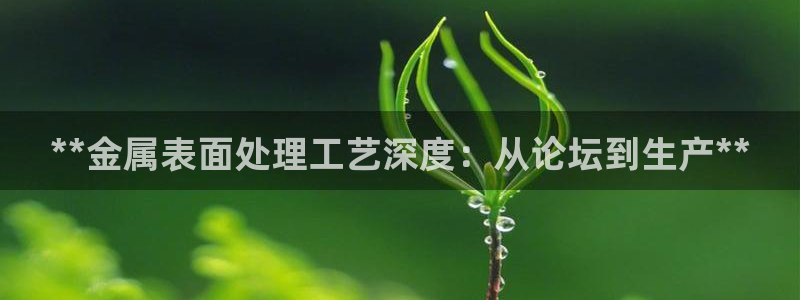 美高梅现在改名叫什么了