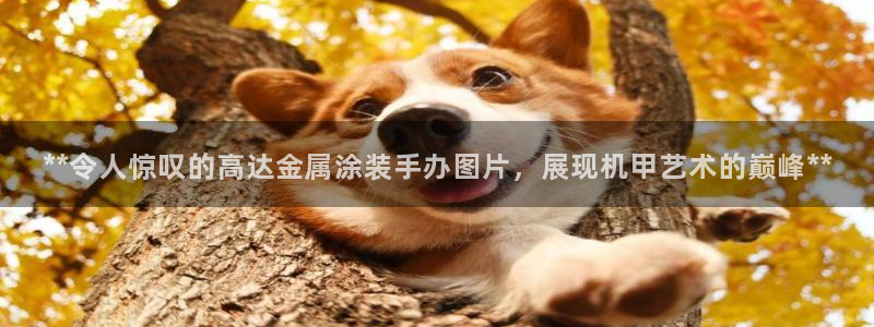 美高梅公司