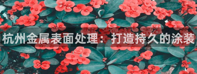 美高梅酒店香皂什么牌子