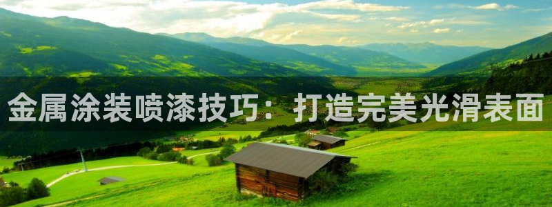 美高梅中国控股有限公司 介绍