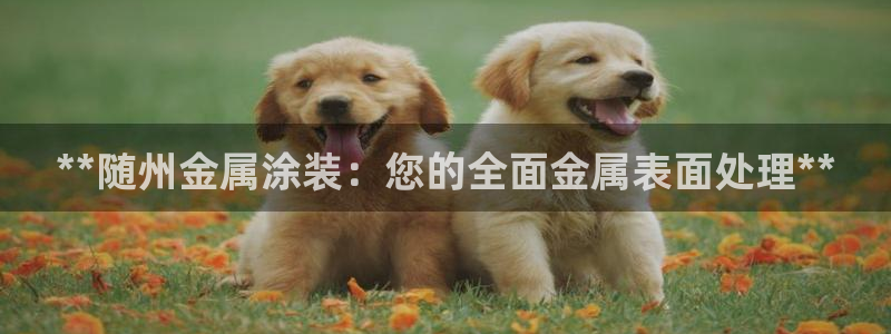 美高梅提现一直处理中