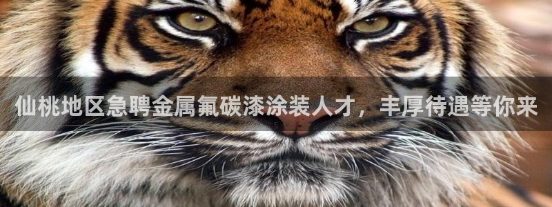 美高梅北京国际文化旅游发展有限公司