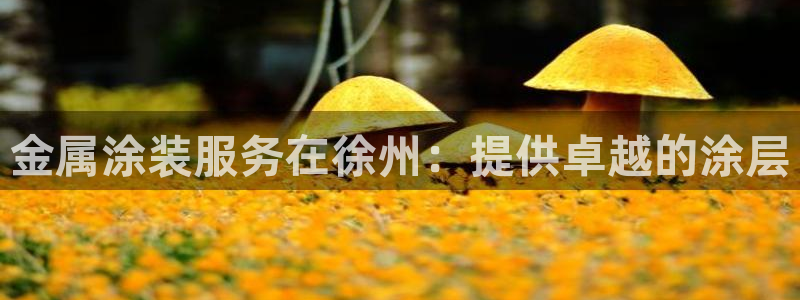 美高梅会员卡怎么办理的