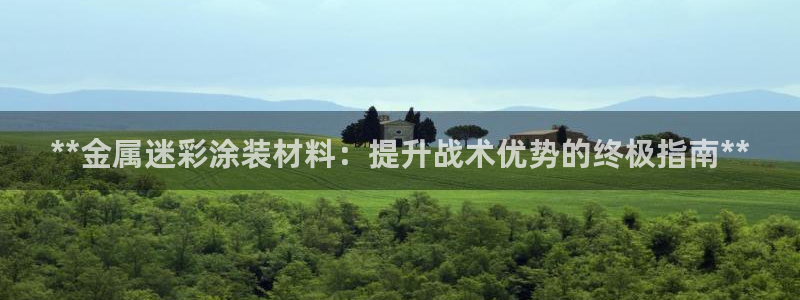 美高梅酒店管理有限公司