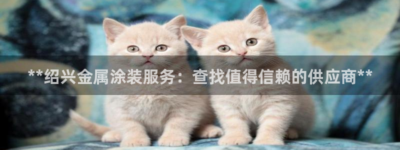 美高梅哪个集团