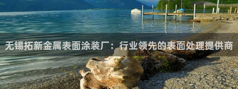 美高梅属于哪个集团