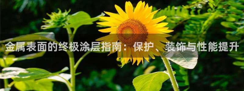 美高梅大酒店澳门