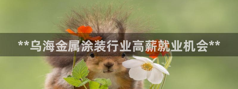 美高梅年卡自助餐