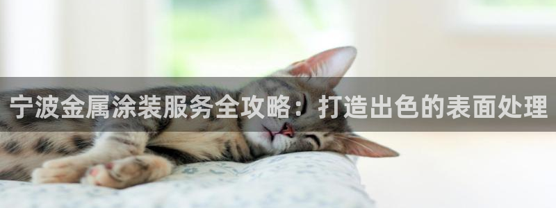 美高梅酒店官网 三亚