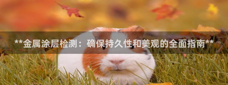 美高梅酒店日语