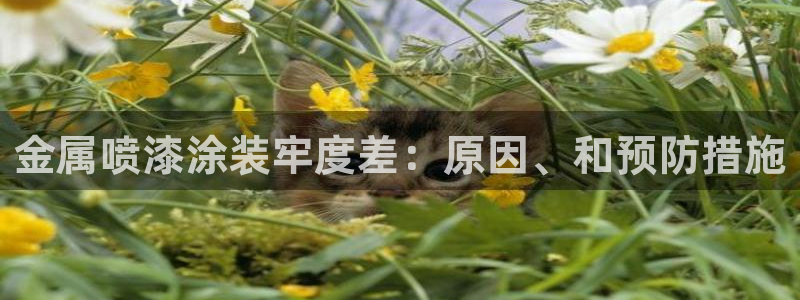 美高梅一积分多少钱