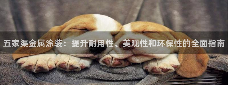 美高梅儿童托管怎么样可靠吗