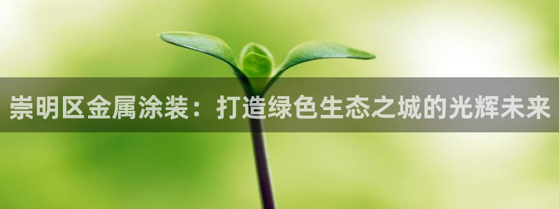 美狮美高梅酒店是谁的