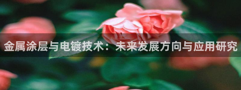 美高梅美荟酒店