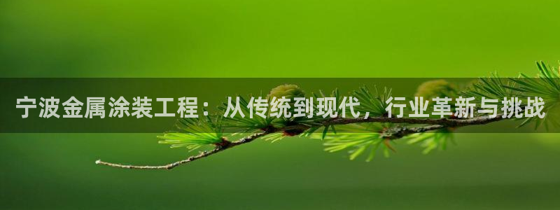 美高梅度假酒店攻略