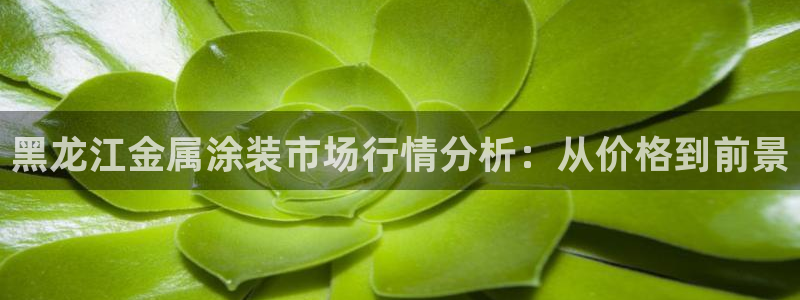 美高梅酒店哪年建成