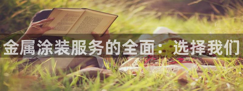 美高梅是美国的还是澳门的：金属涂装服务的