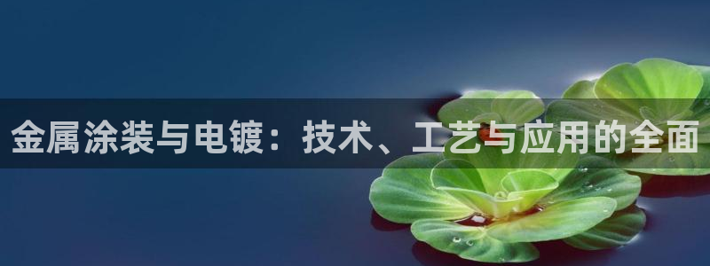 美高梅会员卡在哪里办