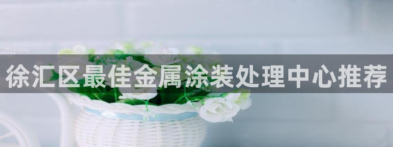 美高梅中国控股有限公司 介绍