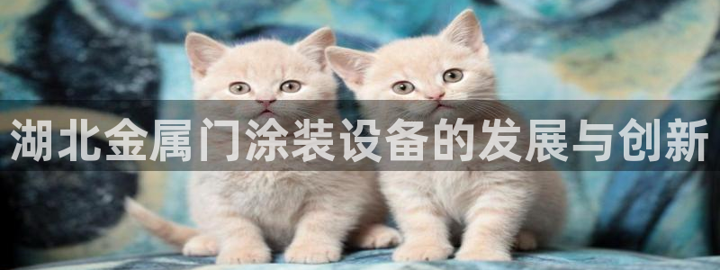 美高梅酒店一晚多少钱