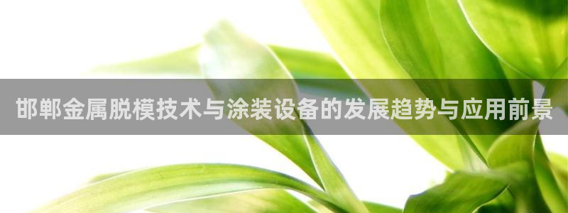 美高梅控股有限公司招聘