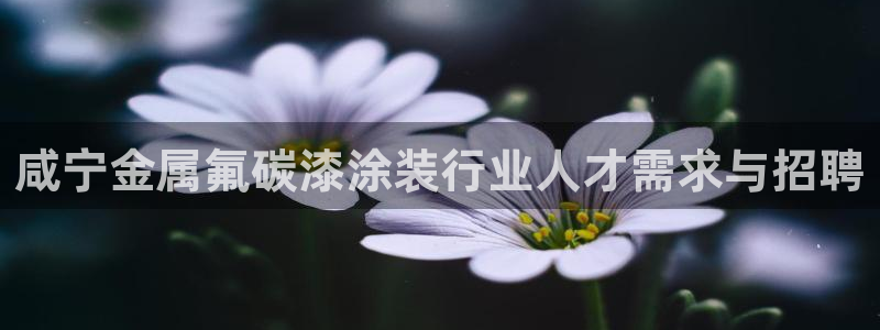 美高梅别墅是精装吗