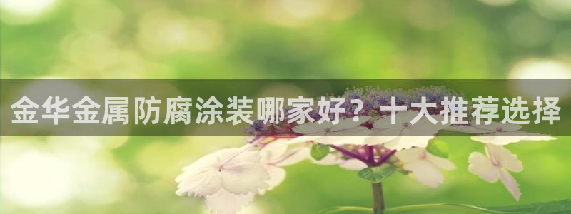 美高梅公司位置