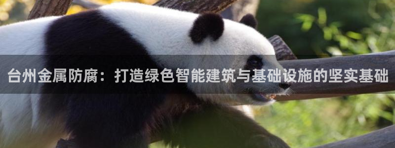 美高梅创始人是谁