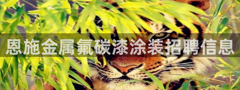 美高梅酒店附近