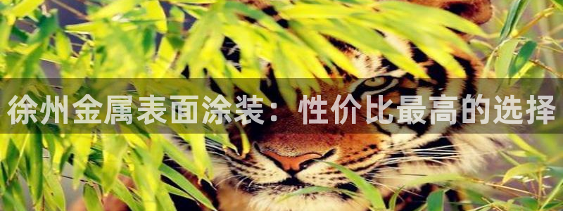 美高梅儿童托管怎么样