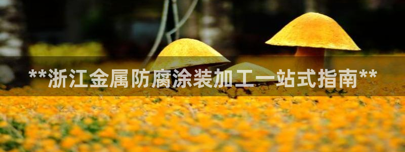 美高梅酒店年卡多少钱：**浙江金属防腐涂