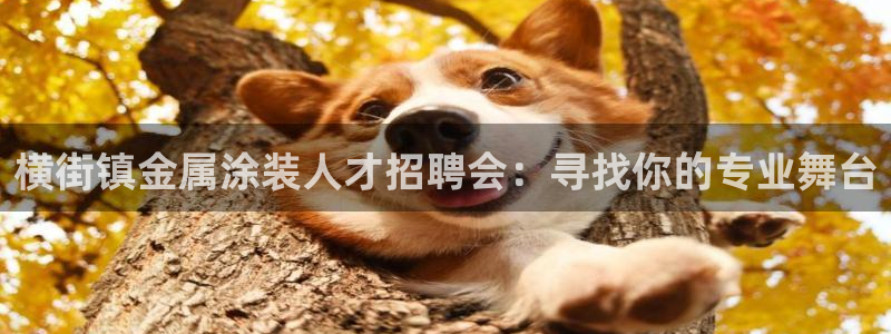 美高梅公司简介