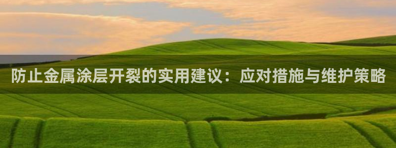 美高梅集团介绍