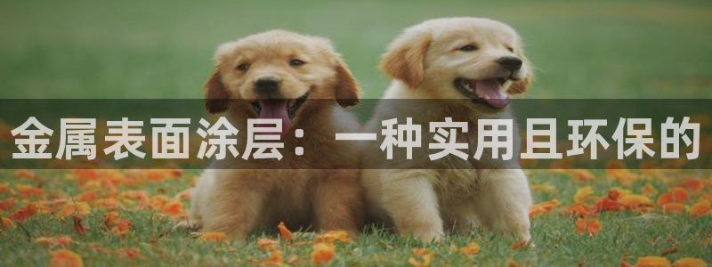 美高梅酒店cotai