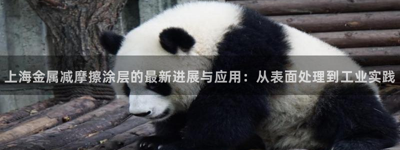 美高梅海上城堡好玩吗