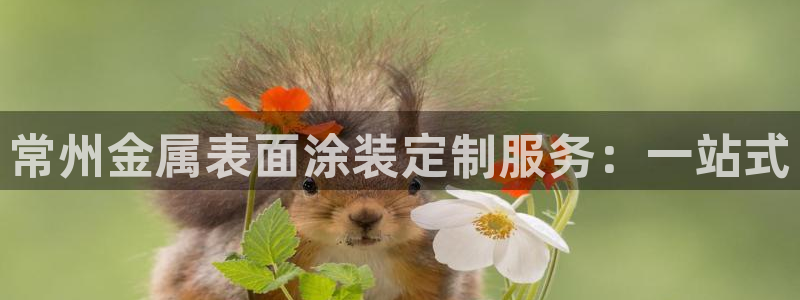 美高梅公司位置